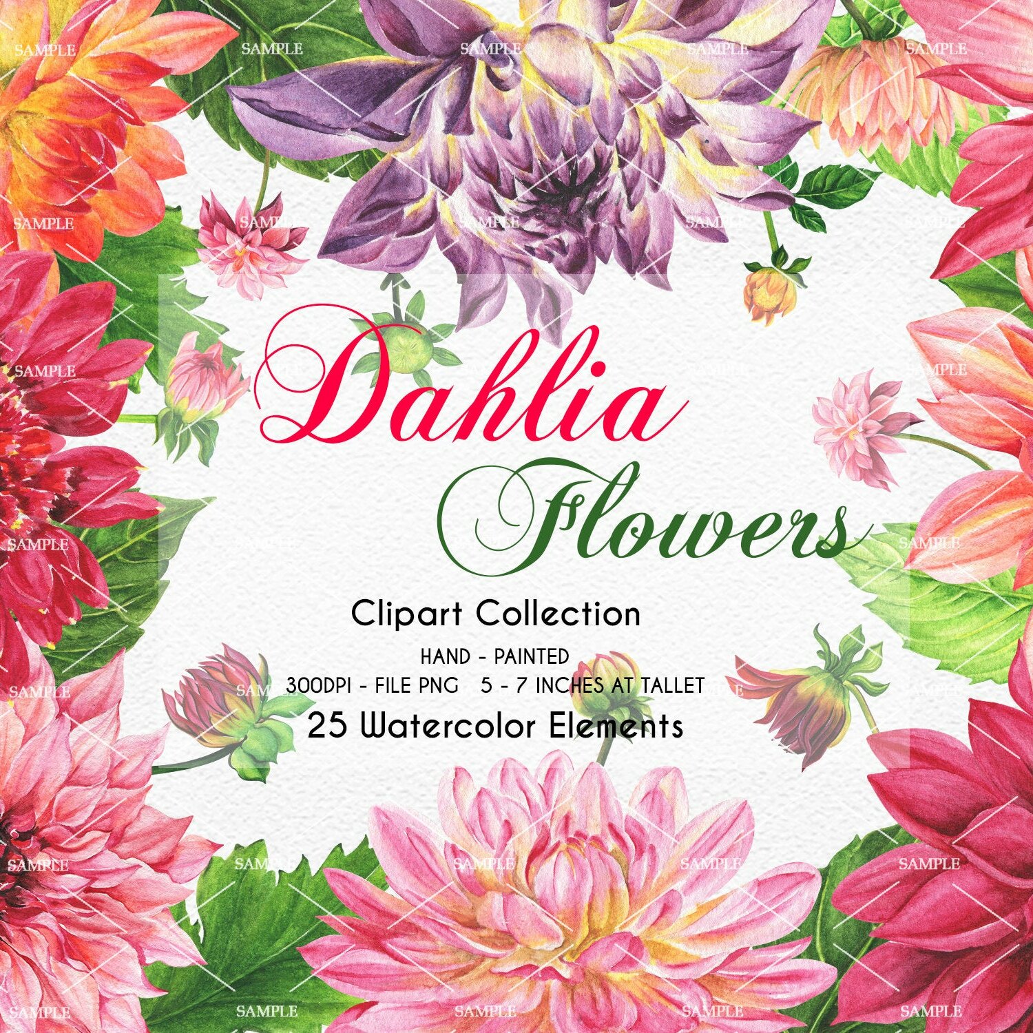 Watercolor Dahlias Flower Clipart, Dahlias clipart, Dahlias watercolor ...