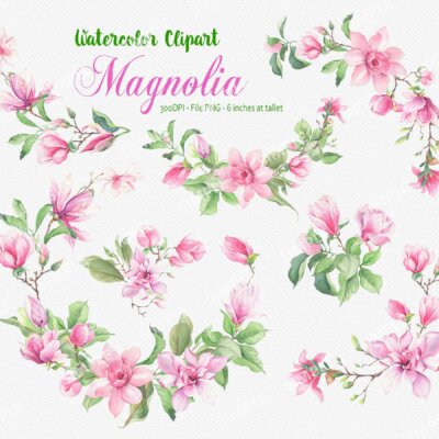 Watercolor Clipart Pink Magnolia, Magnolia Elements, botanical flowers, Magnolia Invitation, Hand Painted, Wedding Pink flowers | WC.MG.01