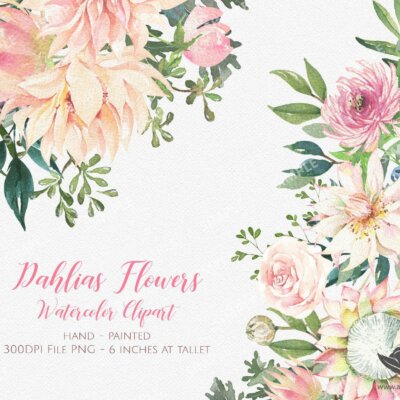Watercolor Dahlias Roses Flower Clipart, Dahlias Roses clipart, Dahlias watercolor, Clipart Dahlias, Wedding Dahlias clipart | MGC_04