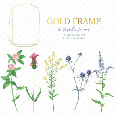 Frame Wild Flowers Clipart, Watercolor Wild Flowers Geometric, Frames Clip Art Greenery, Branchy Frames, Invitation Wild Flowers | WCFR_16