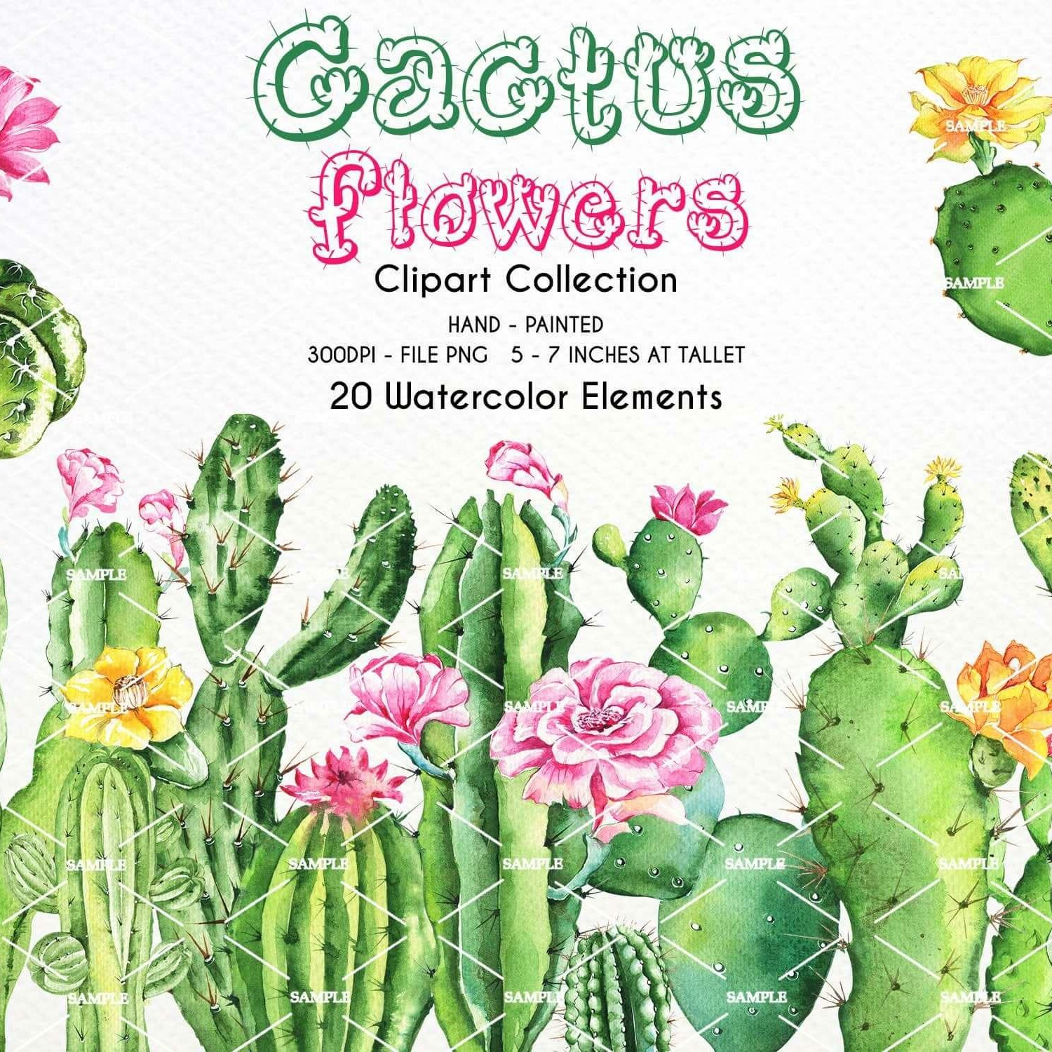 Watercolor Cactus Clipart, Cactus Clipart, Succulent Watercolor, Cactus 