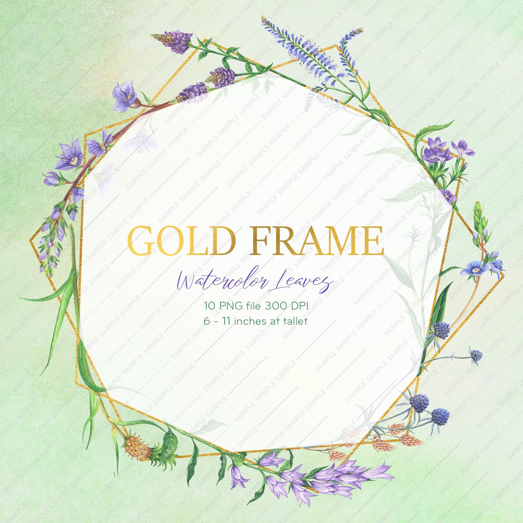 Frame Wild Flowers Clipart Watercolor Wild Flowers Geometric Frames Clip Art Greenery Branchy Frames Invitation Wild Flowers Acv Store