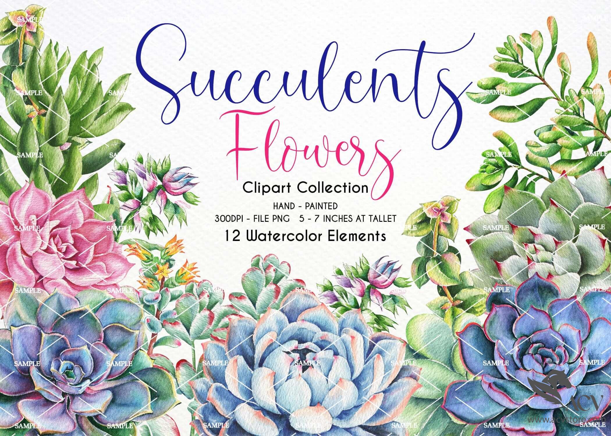 Download Watercolor Clipart Watercolor Succulent Clipart Succulents Clipart Wedding Invitation Wedding Clipart Watercolor Flower Clipart Succulents Visual Arts Craft Supplies Tools Poligon Com