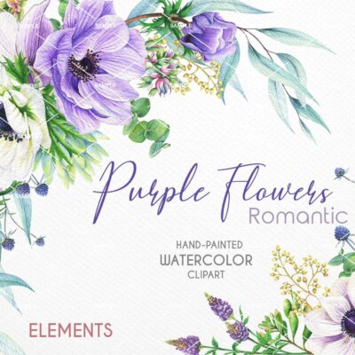 Watercolor Purple Flower Clipart, Hand painted elements, Anemone violet flowers, wedding invitations, floral wedding clipart invitation | WCPU_01