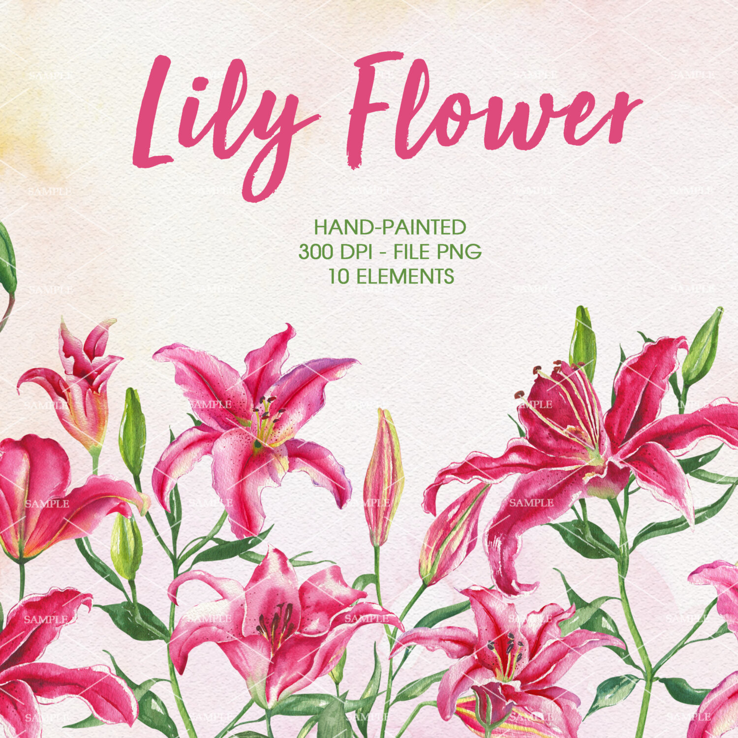 Lily flowers, Watercolor Spring Flower Clipart, Spring Flower clipart, Spring Flower | WCLY_01