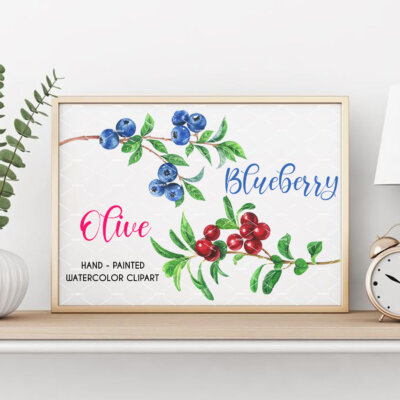Watercolor blueberry clipart, Watercolor Clipart blueberries, olive wreath, olive branch, blueberries, botanical blueberry, olive oil | WCOL_01